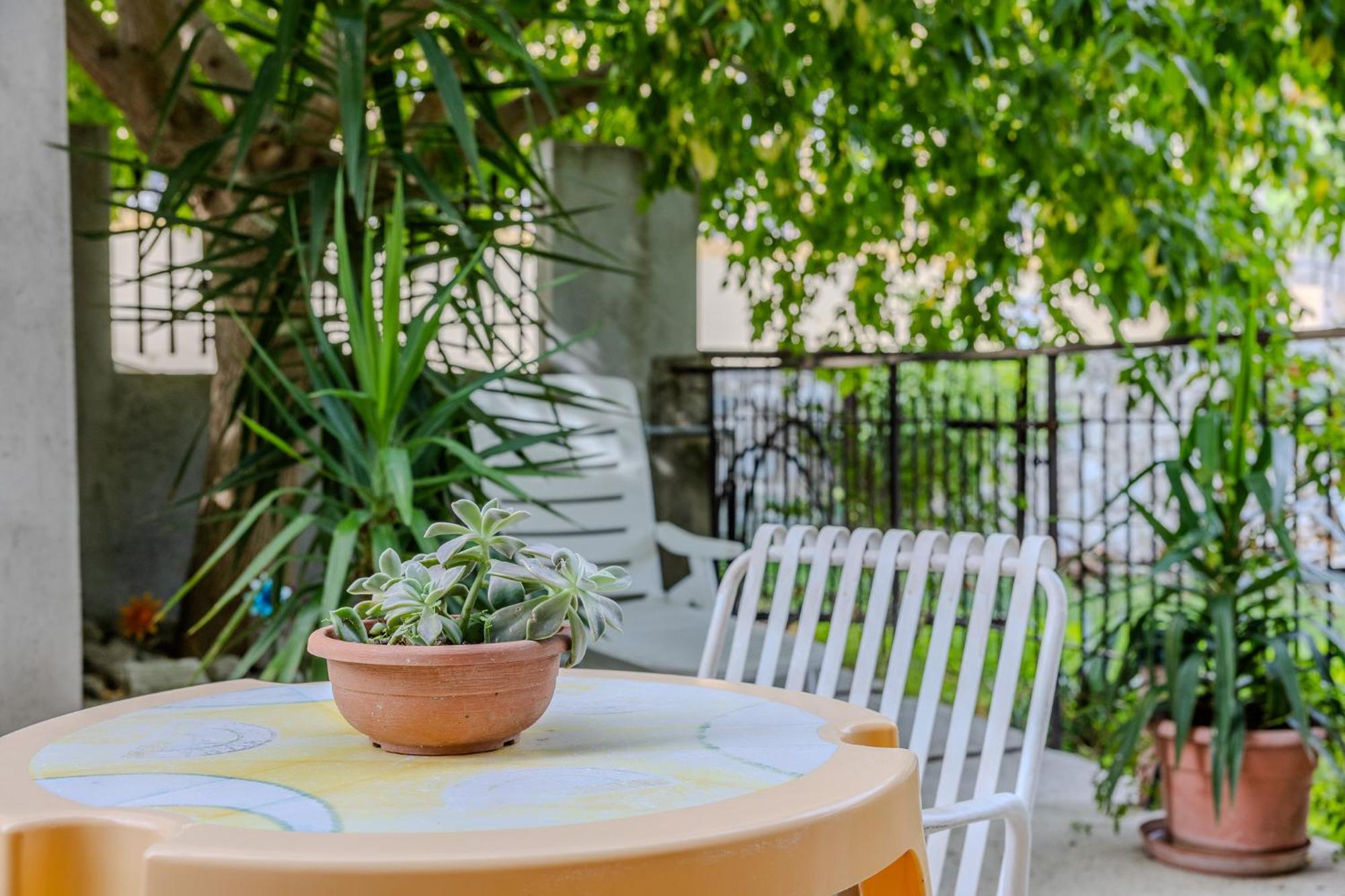 Casa Vacanza Mary Guardavalle Εξωτερικό φωτογραφία